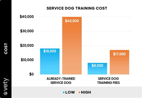 Service Dog Training Costs Full Guide With Funding Tips