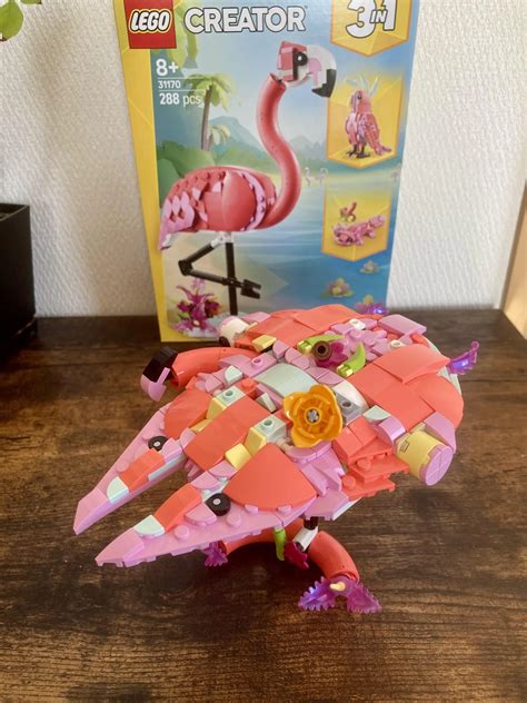 Set In The Streets Falcon Photo