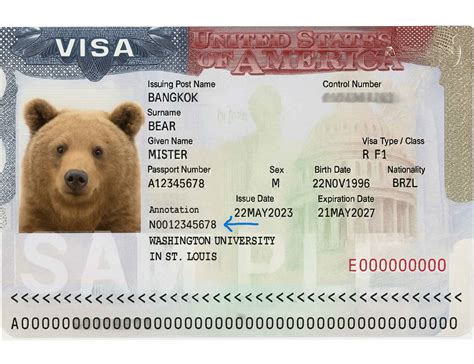 Master Your SEVIS ID for U.S. Travel