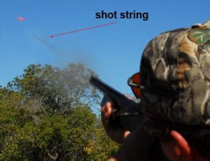 Shot String Vs Shot Pattern Shotgun Forum