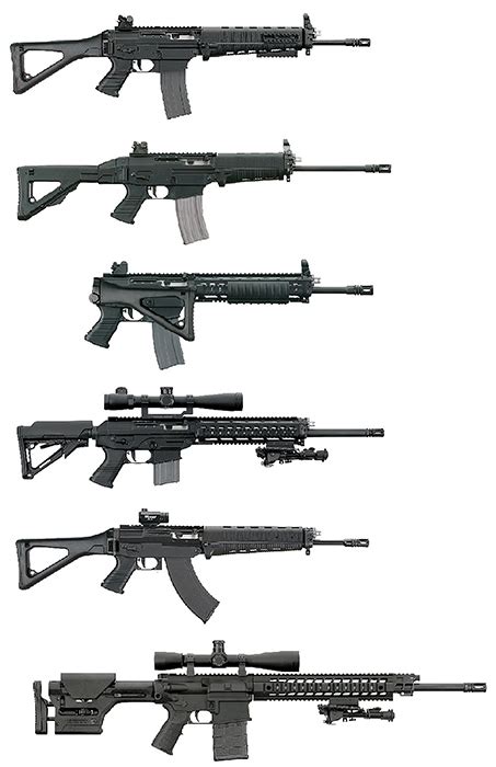 Sig 556 Series Rifle Small Arms Review