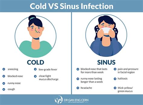Sinusitis More Than Just Runny Nose Dr Gan Eng Cern