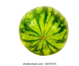 Small Seedless Watermelon On White Background Stock Photo 33719171 Small Seedless Watermelon On White Background Stock Photo 33719171