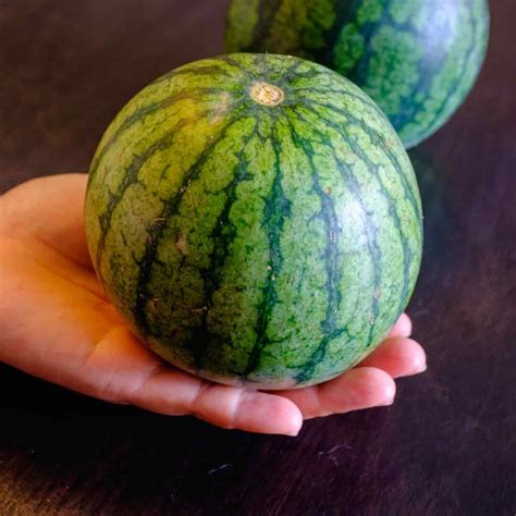 Small Seedless Watermelon