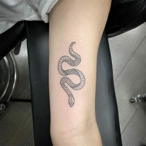 Snake Tattoo Small Snake Tattoo Snake Tattoo Design Traditional Snake