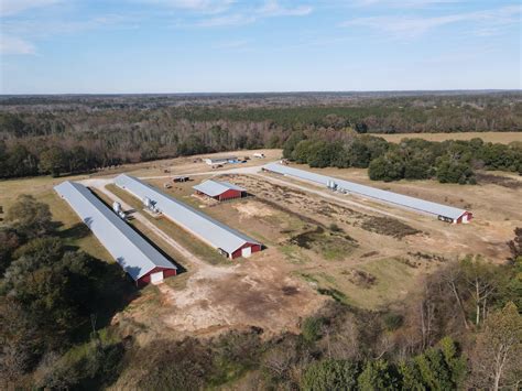 Sold Daniel Breeder Farm Three House Breeder In Crenshaw County Al
