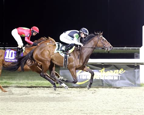 Speed Shopper Eclipse Thoroughbred Partners