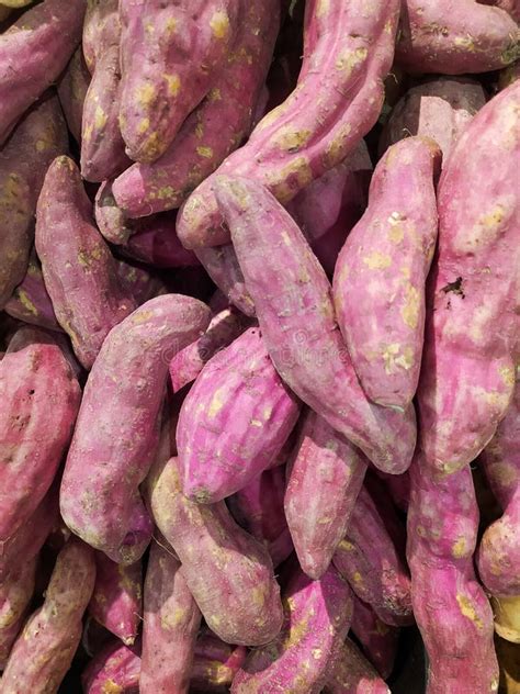 Stacks Of Red Sweet Potatoes Lined Up Neatly For Sale In Supermarkets