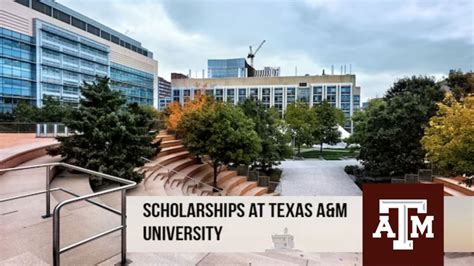 Study In Usa 2024 Texas A Amp M University Scholarships For International
