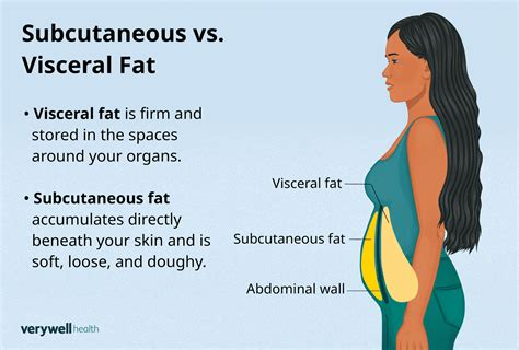 Subcutaneous Fat Some Is Good Too Much Is Bad