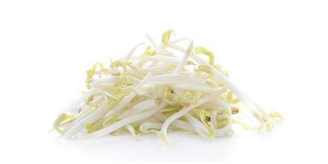 Sunny Creek Mung Bean Sprouts Products Lowes Foods To Go Local And Fresh Same Day Grocery Pickup And Delivery Sunny Creek Mung Bean Sprouts Products Lowes Foods To Go Local And Fresh Same Day Grocery Pickup And Delivery