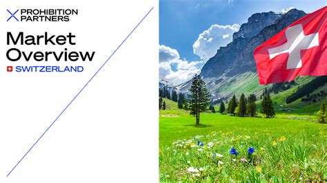 Best Swiss Adult Websites Reviewed 2023