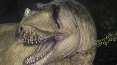 Tameryraptor Markgrafi New Giant Dinosaur Species Discovered In Egypt Bbc Newsround