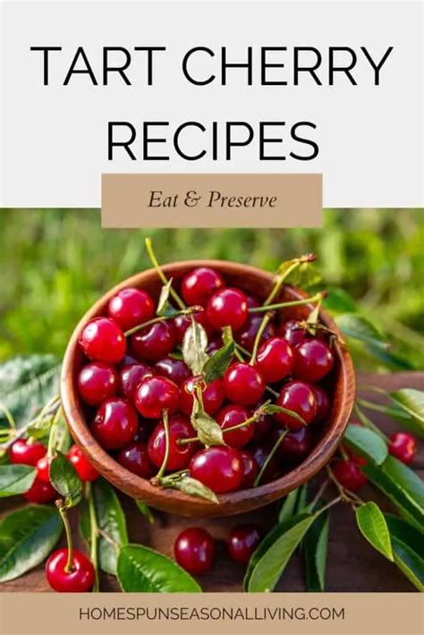 Tart Cherry Recipes Homespun Seasonal Living Tart Cherry Recipes Homespun Seasonal Living