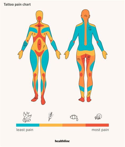 Tattoo Pain Chart Male Vs Female Educational Chart Resources Tattoo Pain Chart Male Vs Female Educational Chart Resources