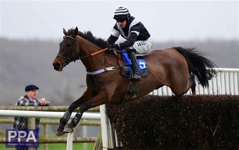 Taunton Races Taunton Uk 6 Feb 2024 Taunton Racecourse