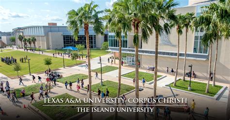 Texas A M University Corpus Christi Corpus Christi Tx