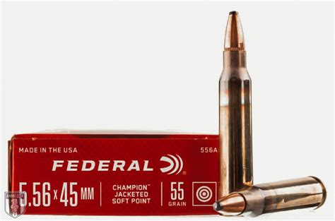 The Best 5 56 Ammo For Home Defense Chosen By Experts