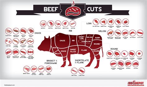 The Complete Guide To Understanding The Diagram Of Beef Meat Cuts The Complete Guide To Understanding The Diagram Of Beef Meat Cuts