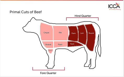 The Different Cuts Of Beef Primal Amp Subprimal Cuts The Different Cuts Of Beef Primal Amp Subprimal Cuts