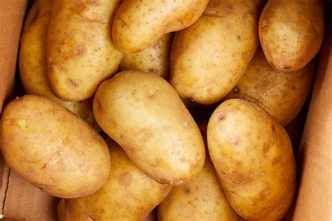 The Easy Method For Storing Potatoes So They Last For Months The Kitchn