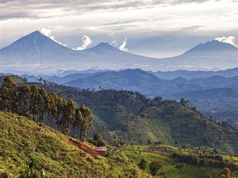 The Land Of A Thousand Hills A Visit To Rwanda The Traumatized Heart Of Africa Ami Magazine The Land Of A Thousand Hills A Visit To Rwanda The Traumatized Heart Of Africa Ami Magazine