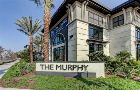 Unlocking the Secrets of The Murphy Irvine Mystery