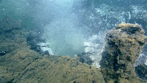 The Pacific Northwest S Most Active Underwater Volcano Is Getting Ready To Erupt College Of The Environment The Pacific Northwest S Most Active Underwater Volcano Is Getting Ready To Erupt College Of The Environment