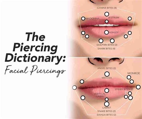 The Piercing Dictionary Facial Amp Lip Piercings Lip Piercing Mouth