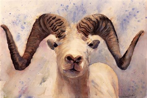 The Ram Tarheels University Of North Carolina Chapel Hill Aries Sheep Animal Prints Gifts For Him Acc Carolina Mascot Ram Print Etsy