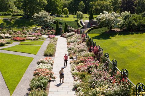 The Rose Garden Spring Classic Plant Talk The Rose Garden Spring Classic Plant Talk