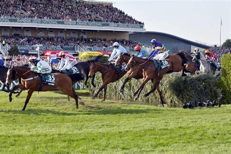 The Silk Colours That Dominate The Grand National