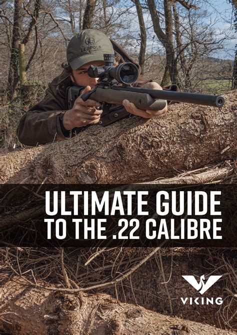 The Viking Arms Ultimate Guide To 22 Calibre Viking Arms