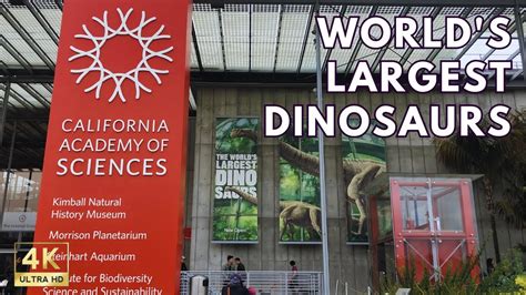 The World'S Largest Dinosaurs California Academy Of, 53% Off