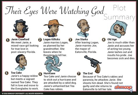 Their Eyes Were Watching God Summary Essentials