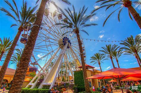 Discover Exciting Things to Do in Irvine Today