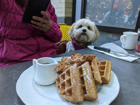 This Iconic Oregon Restaurant Has Waffles That Amp 39 Ll Keep You Coming Back