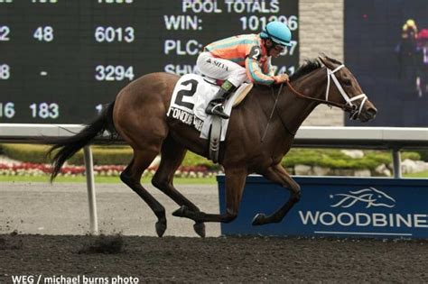 Three Chimneys Presents Good News Friday Stars That Last Awhile