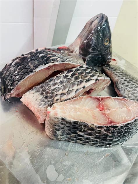 Tilapia Steaks Price Per Kg Nor Supplies Ltd