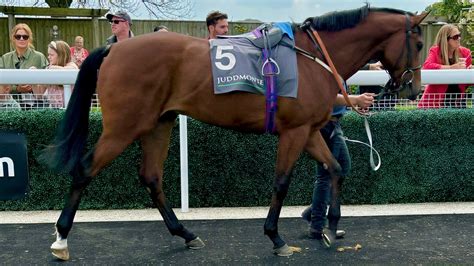 Tim Easterby Racehorse Trainer Future Entries