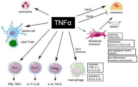 Tnfa Blood Test For Beginners: A Simple Guide