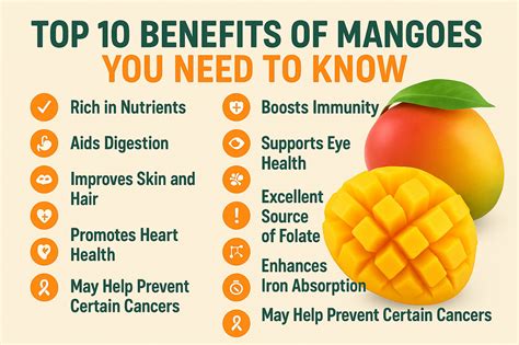 Top 10 Benefits Of Mangoes You Need To Know The Warsi Farm