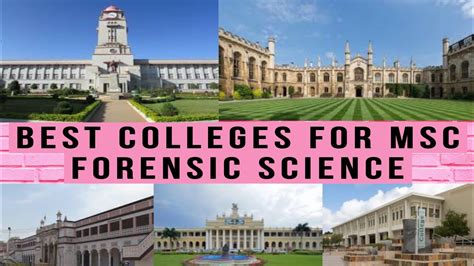 Top 10 Msc Forensic Science College In India Msc 2022 List Of Best Colleges
