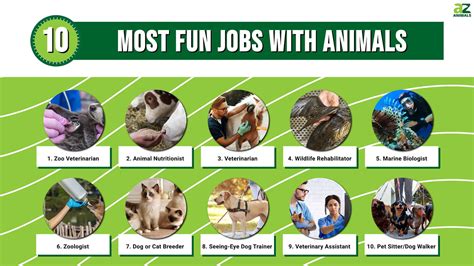Top 3 Careers That Pay You To Work With Animals