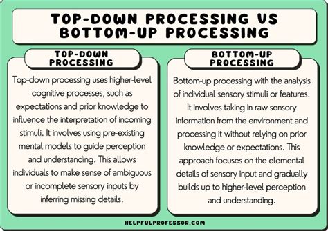 Top Down Processing: Master Cognitive Insights