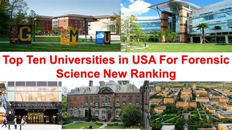 Top Ten Universities In Usa For Forensic Science New Ranking