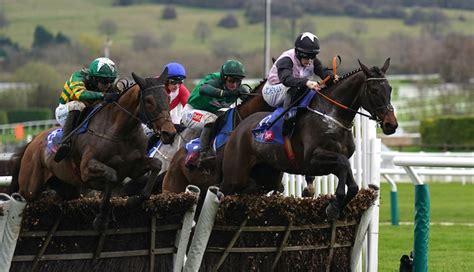 Triumph Hurdle Tips Betting Preview 2025