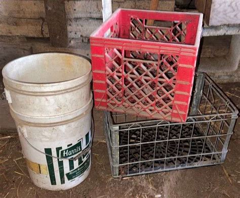 Two Crates Two Five Gallon Buckets Sherwood Auctions Two Crates Two Five Gallon Buckets Sherwood Auctions