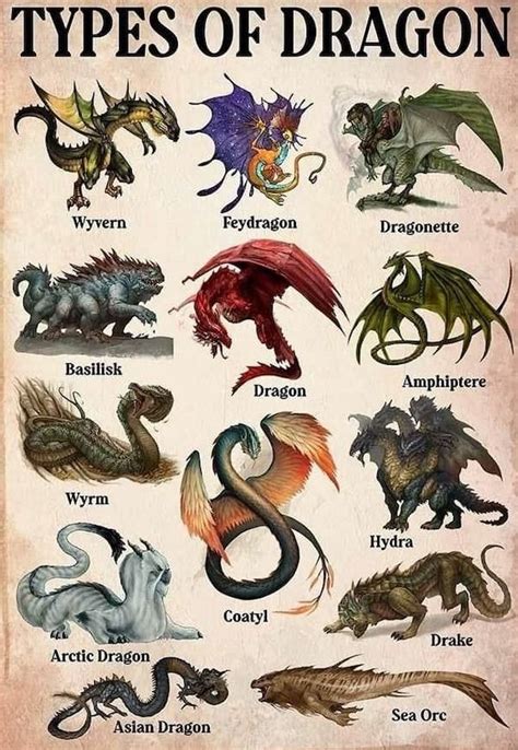 Types Of Dragon Weasyl