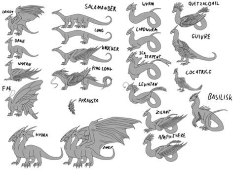 Types Of Dragons Fandom